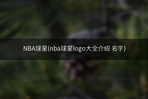 NBA球星(nba球星logo大全介绍 名字)