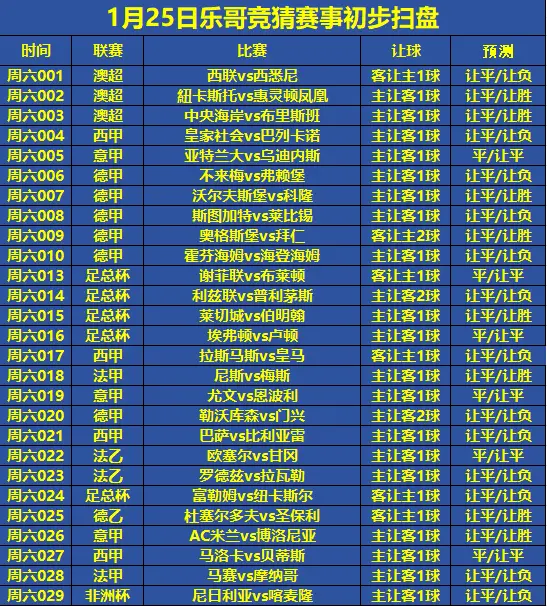 英超球队伯明翰简介_主场伯明翰的英超球队_伯明翰英超球队