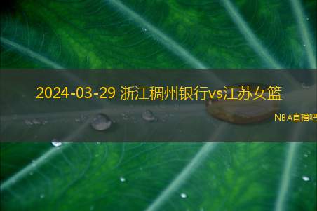 2024年WCBA季后赛1/4决赛G2 江苏女篮 - 浙江稠州银行 录像