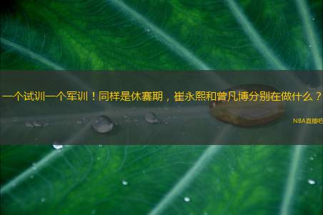 一个试训一个军训！同样是休赛期，崔永熙和曾凡博分别在做什么？