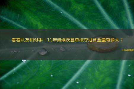 看看队友和对手！11年诺维茨基单核夺冠含金量有多大？