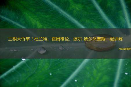 三根大竹竿！杜兰特、霍姆格伦、波尔-波尔休赛期一起训练