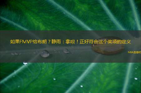 如果FMVP给布朗？静雨：拿呗！正好符合这个奖项的定义