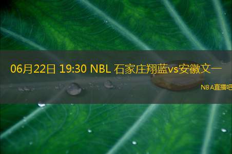 06月22日 19:30 NBL 石家庄翔蓝vs安徽文一