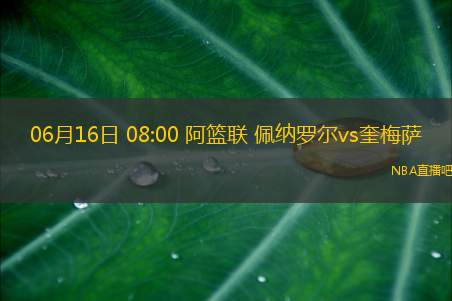 06月16日 08:00 阿篮联 佩纳罗尔vs奎梅萨