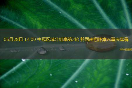 06月28日 14:00 中冠区域分组赛第2轮 黔西南栩烽棠vs重庆犇骉